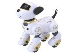 Robot Pies Interaktywny Zdalnie Sterowany Tańczy Wykonuje Polecenia
