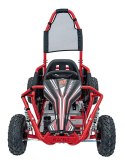 1000W -Kontrola rodzicielska Gokart na akumulator Elektryczny MIGHTY