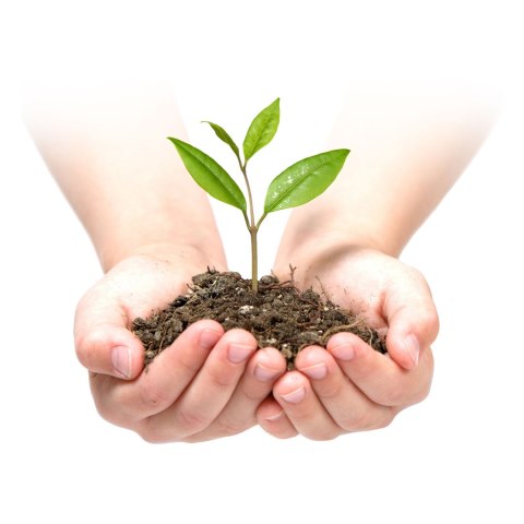 Agrotkanina ogrodowa 1,6 m x 50 m 90 g/m2 + 50 szpilek Plonos - czarna