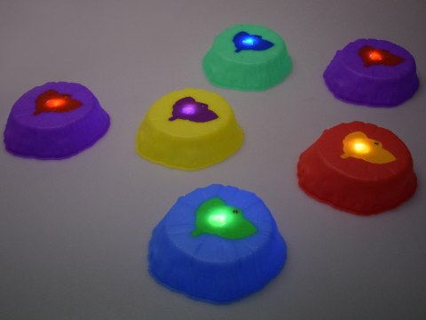 Świecąca ścieżka sensoryczna - kamienie do treningu równowagi 6 szt.