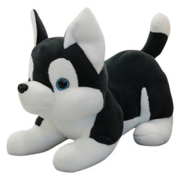Pluszowa Maskotka Przytulanka Piesek Husky Czarno-Biały 30cm