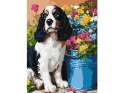 Zestaw do malowania po numerach Uroczy spaniel KHO6672 30x40 AP0056