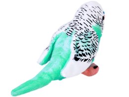 Maskotka pluszowa Papuga falista lazurowo-biała ptaszek papużka 13cm