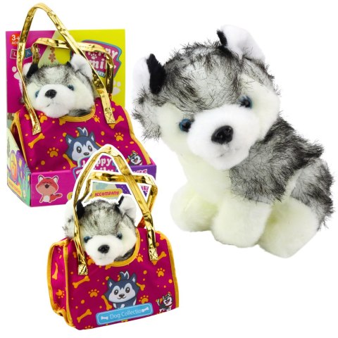 Piesek Husky W Torebce Pluszowy Maskotka Przytulanka Biało Szary