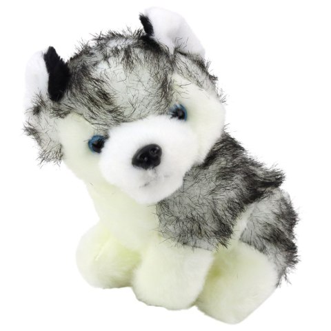 Piesek Husky W Torebce Pluszowy Maskotka Przytulanka Biało Szary