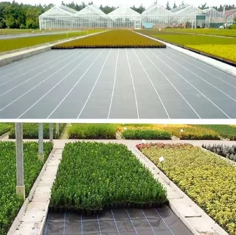Agrotkanina czarna 1,1x100m UV 135g antychwastowa agrowłóknina + kotwy
