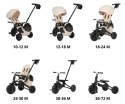 Qplay Rowerek Trójkołowy Nova Max Beige