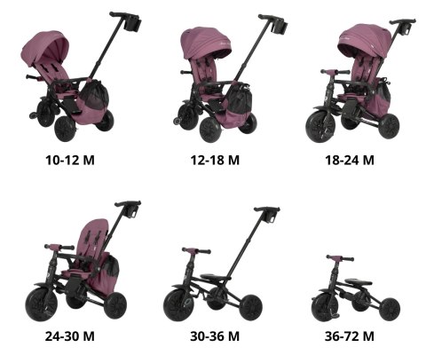 Qplay Rowerek Trójkołowy Nova Max Violet