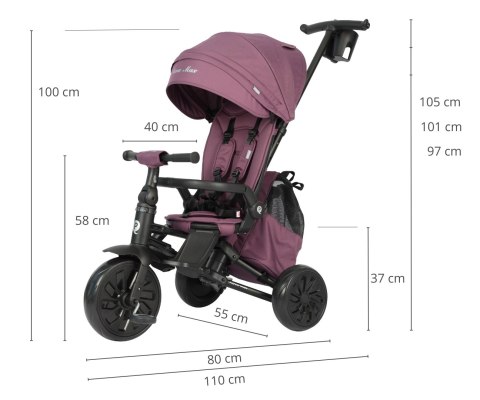 Qplay Rowerek Trójkołowy Nova Max Violet