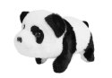 Panda Na Baterie Rusza Się Warzywa na Rzepy
