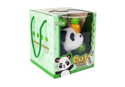 Panda Na Baterie Rusza Się Warzywa na Rzepy Panda Na Baterie Rusza Się Warzywa na Rzepy
