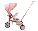 Milly Mally Rowerek Trójkołowy Zippy Pink