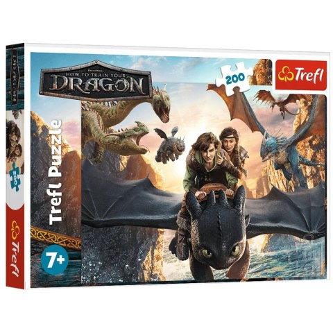 13348 200 - Szczerbatek i przyjaciele - Universal How to train your dragon The M FSC Mix 70%