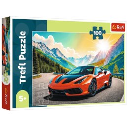 Puzzle - 100 - Wyścig z czasemTREFL Mix 70%