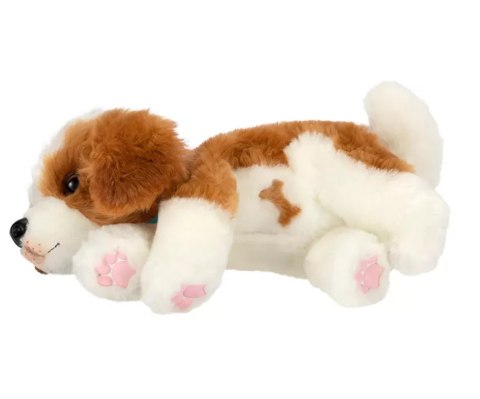 Little Live Pets 26548 Interaktywny Piesek Łatek z klatką