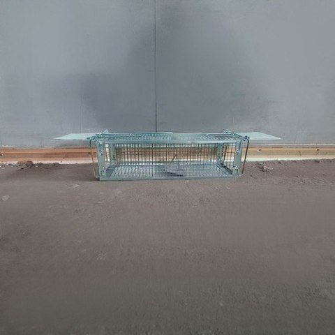 Żywołapka/ pułapka na gryzonie Repest 19051