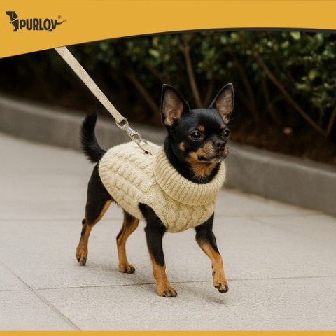 Ubranko dla psa/kota roz. S beżowe Purlov 26216