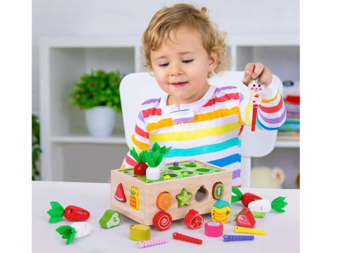 Sorter Montessori drewniany wózek złap robaczka marchewki układanka
