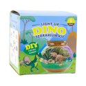 Zestaw Kreatywny Terrarium Dla Dinozaurów DIY Lampka LED Pilot