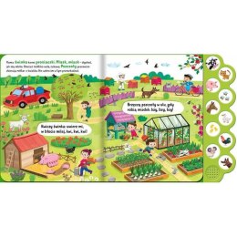 Aksjomat Co słychać? Na wsi Książeczka dźwiękowa z przyciskami KS0852