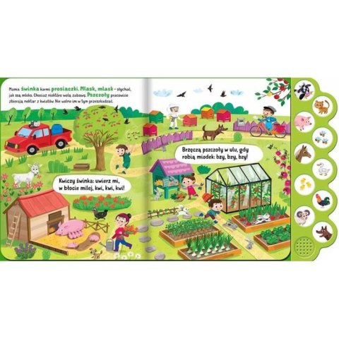 Aksjomat Co słychać? Na wsi Książeczka dźwiękowa z przyciskami KS0852