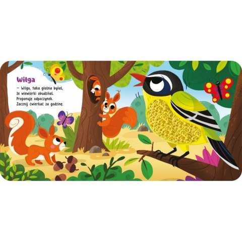 Aksjomat Dotknij i poczuj. Zwierzęta w lesie książeczka sensoryczna KS0856