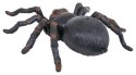MEGA Pająk Tarantula R/C