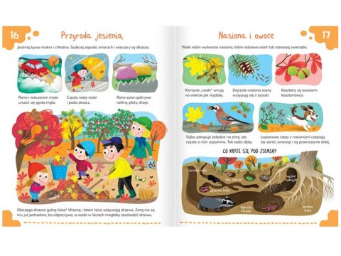 Aksjomat Przedszkolak poznaje przyrodę. Zwierzęta i rośliny 5+ KS1132