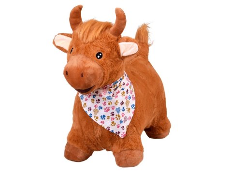 Pompowany mięciutki Skoczek BYK do skakania w apaszce + pompka ZA5902