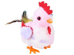 Dreptająca KURA Grażyna kukuryku! - pieje i macha skrzydłami ZA6018