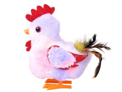 Dreptająca KURA Grażyna kukuryku! - pieje i macha skrzydłami ZA6018