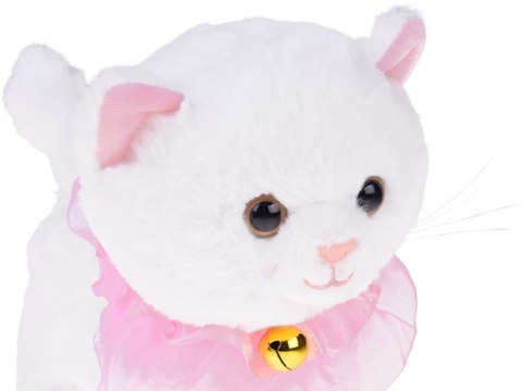 Kotek interaktywny chodzi na smyczy miauczy rusza ogonkiem