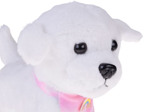 Piesek interaktywny chodzi na smyczy szczeka rusza ogonkiem