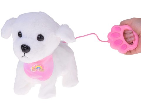 Piesek interaktywny chodzi na smyczy szczeka rusza ogonkiem