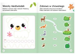 Aksjomat Łamigłówki przedszkolaka z wiew. 5 lat KS1087