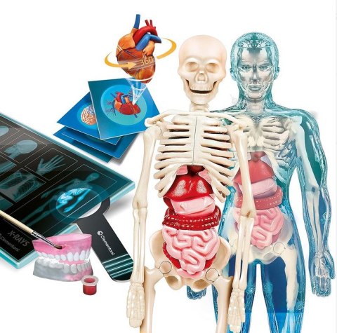 Naukowa Zabawa Super Anatomia Clementoni 50919