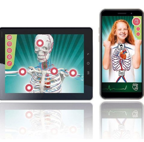 Naukowa Zabawa Super Anatomia Clementoni 50919