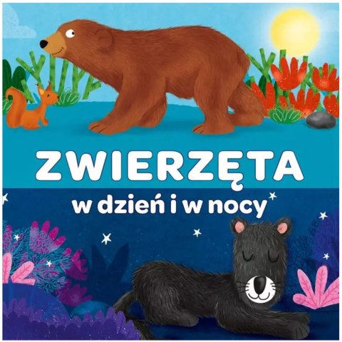 Kapita Nauka Książeczka harmonijkowa Zwierzęta w dzień i w nocy KS1222