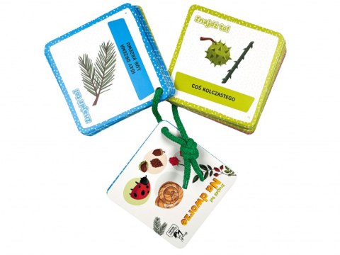 Kapitan Nauka Znajdź to! Na dworze - 60 wyzwań KS1221