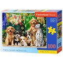 Puzzle 100-elementów Puppies, Laundry and Bird Antics B-111305