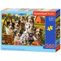 Puzzle 260-elementów Happy Dogs In The Countryside B-27699-1
