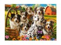 Puzzle 260-elementów Happy Dogs In The Countryside B-27699-1