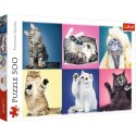 Puzzle - 500 - Kociaki - Trefl 37377