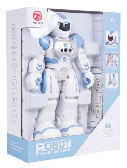 Wielofunkcyjny Robot SMART-BOT