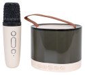 Zestaw Karaoke Mikrofon + Podświetlany Głośnik