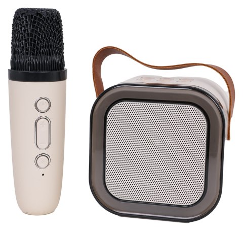 Zestaw Karaoke Mikrofon i Głośnik
