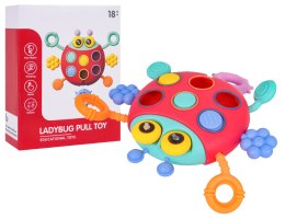 Wielofunkcyjna Biedronka Dla Najmłodszych