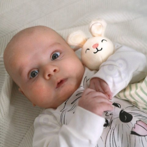 GREEN Pudełko XXL Montessori Sensoryka i Edukacja 7w1 FSC