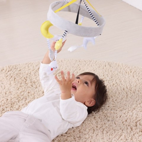 GREEN Pudełko XXL Montessori Sensoryka i Edukacja 7w1 FSC