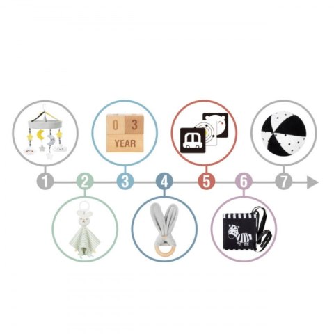 GREEN Pudełko XXL Montessori Sensoryka i Edukacja 7w1 FSC